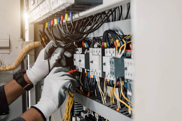 Best Electric Panel Repair  in Dunnellon, FL